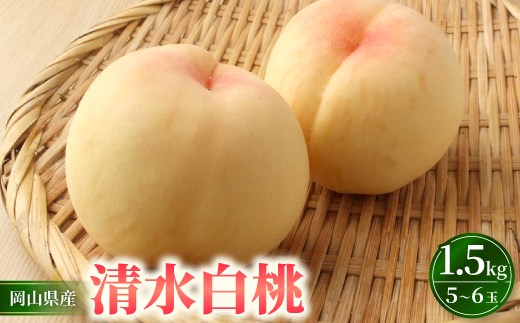 岡山市　一宮産　清水白桃　5～6玉入り　1.5キロ 化粧箱入り【配送不可地域：離島・北海道・沖縄県・東北・関東・信越、北陸】