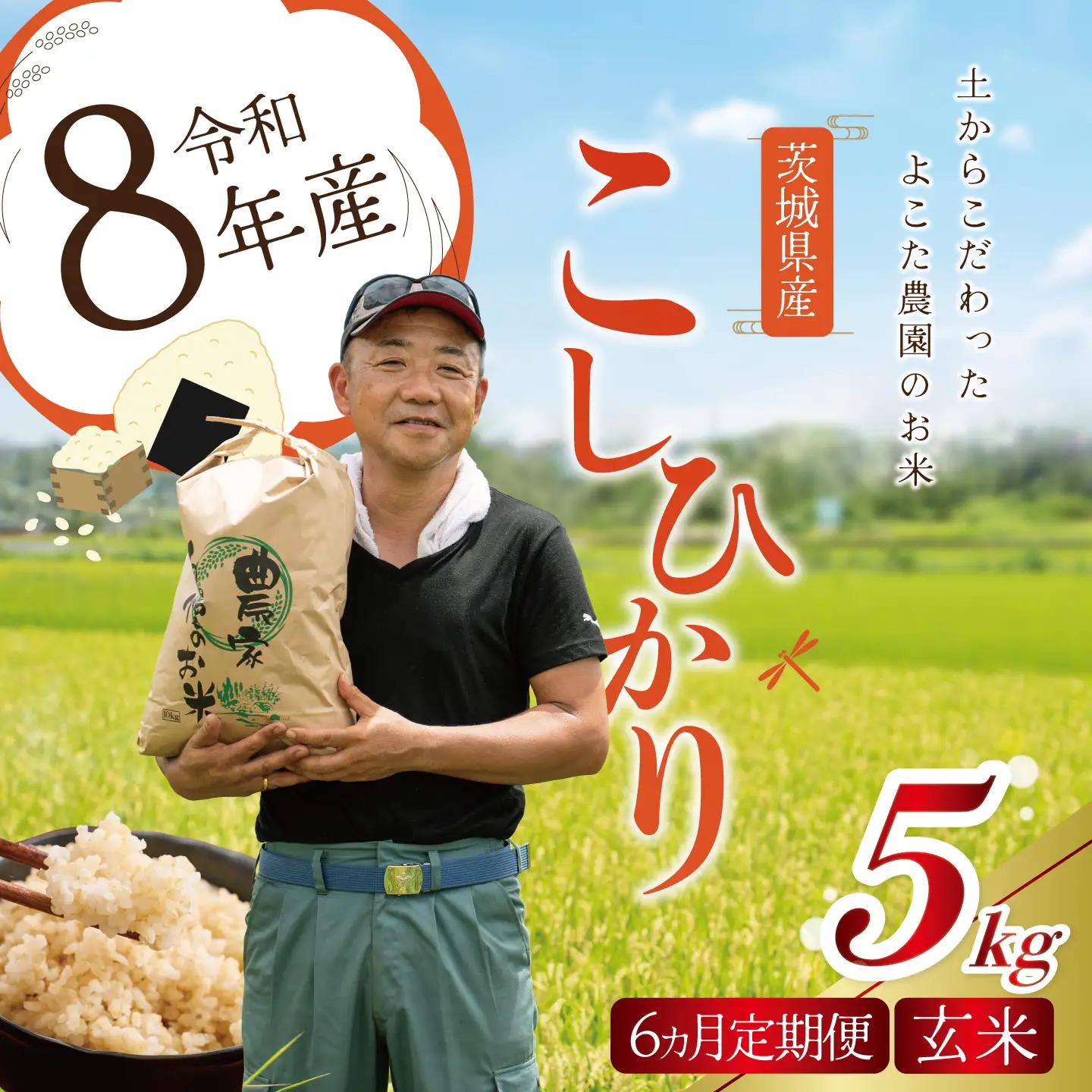 【6回定期便】令和8年産 コシヒカリ 玄米 5kg 新米 こしひかり
