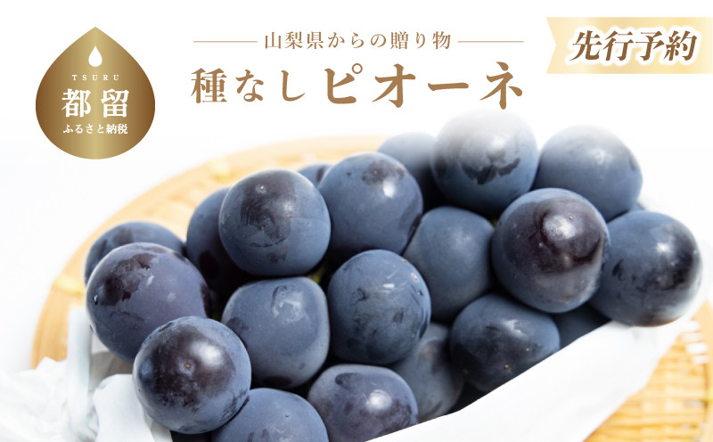 
            【2025年 先行予約】山梨県産 種なしピオーネ2房(約1.0Kg）【アズールヤード】| 2～3房  山梨 やまなし 葡萄 ブドウ フルーツ 果物 くだもの ぶどう  デザート スイーツ 黒葡萄 黒ブドウ 黒ぶどう 濃厚
          