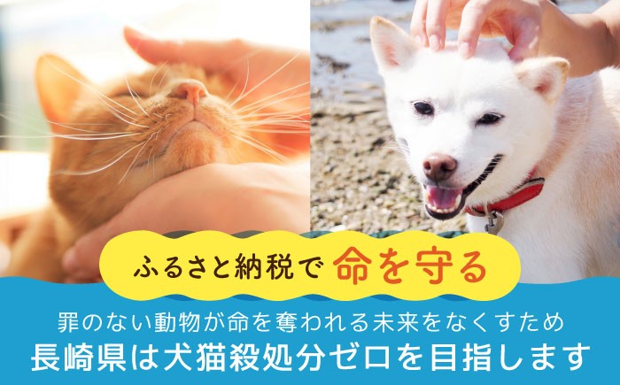 長崎  動物 犬 猫 いぬ ねこ イヌ ネコ 保護犬 保護猫 支援 応援 寄付のみ