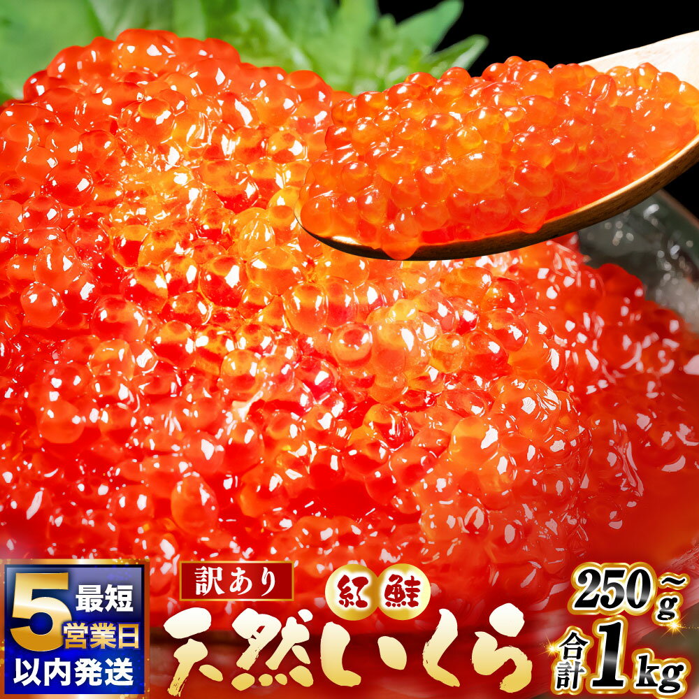 【ふるさと納税】高評価★4.35 天然紅鮭いくら 醤油漬け 250g / 500g / 750g / 1kg 【最短5営業日以内発送】【選べる 容量】 鮭 いくら イクラ 魚卵 訳あり 規格外 小粒 海鮮 魚介 冷凍 個包装 小分け パック 人気 ランキング グルメ 醤油漬 コスパ 海鮮丼 北海道 釧路市