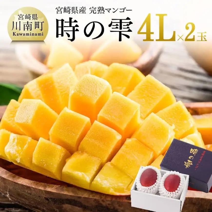 マンゴー 【令和8年発送】宮崎県産完熟マンゴー「時の雫」4L×2玉 フルーツ マンゴー