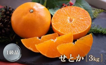 【2月下旬より発送】 せとか 3kg 【1級品】| せとか くだもの せとか デザート せとか 高評価 せとか フルーツ せとか 人気 みかん おすすめ みかん 国産 みかん 旬 せとか【TMN017_x】