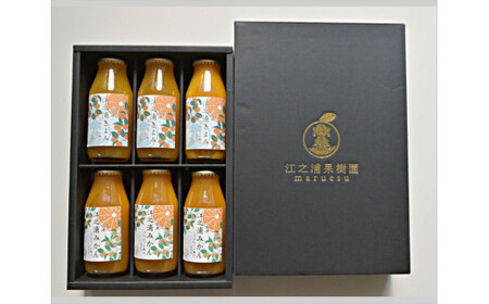 ギフトセットみかんジュースのみくらべ 小田原産江之浦うんしゅうみかん＆きよみ１００％ストレートジュース１８０ml各３本合計６本セット