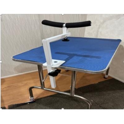 ふるさと納税 小牧市 グルーミングアシスト(犬用)[199D01]