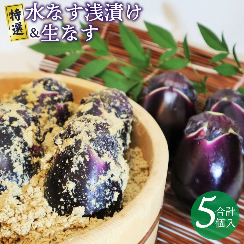 【ふるさと納税】特選 水なす浅漬け 生なす 5個入り 泉州特産 朝採れ 泉州水ナス 甘みが強い 皮が薄い 柔らかい あくが少ない 野菜 ぬか漬け 浅漬け なす 食品 食べ物 漬物 お取り寄せ お取り寄せグルメ 大阪府 泉佐野市 送料無料