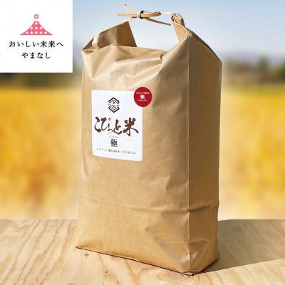 ふるさと納税 山梨県 きわだつ大粒!【令和7年産】こぴっと米【極】白米・10kg　特別栽培米