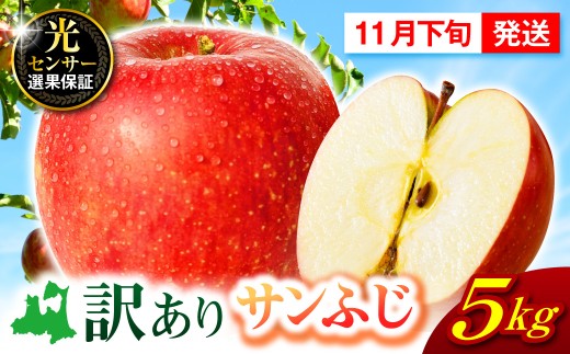 【先行受付】【2026年11月下旬発送】【訳あり】 りんご 5kg サンふじ 青森