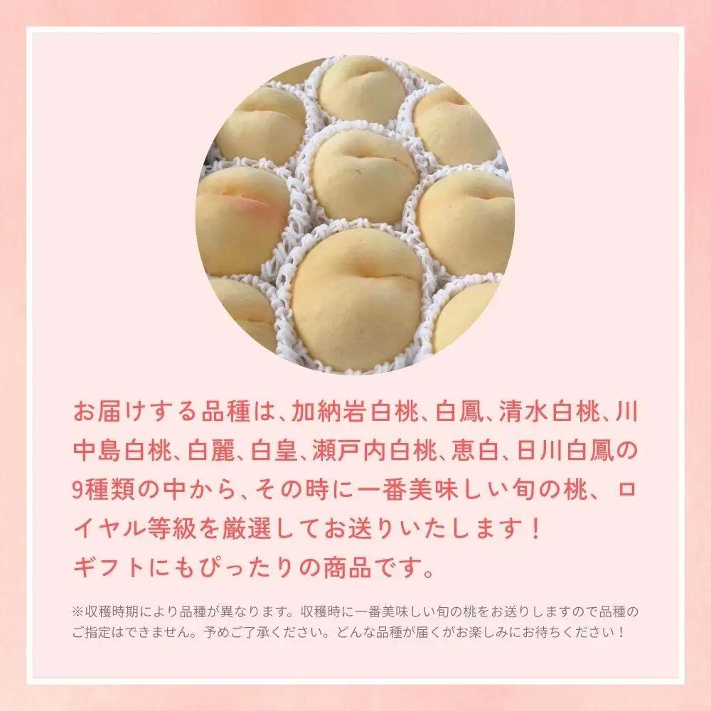 ＜数量限定＞［なんばふぁーむ］岡山県産 旬の桃 1.5kg（4～6玉）[ギフト用]【2026年発送】 039-a003