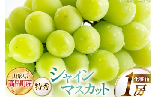 【期間限定発送】 シャインマスカット 特秀 1房 化粧箱入り [JA山形おきたま 山形県 高畠町 tk06ays870029] フルーツ 果物 くだもの ぶどう ブドウ 葡萄 甘い
