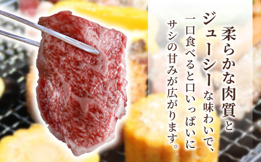 根羽こだわり和牛 焼肉 800g 国産黒毛和牛