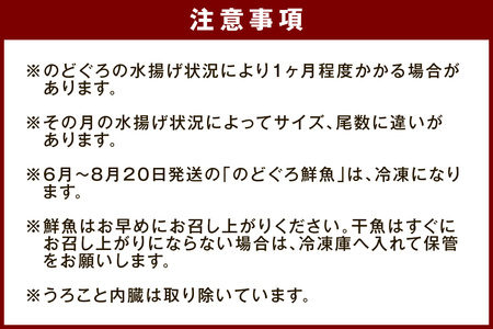 のどぐろの鮮魚と干魚のコラボセット 魚介類 魚介 魚 のどぐろ 干物 鮮魚 一夜干し お刺身 セット 【096_1696】