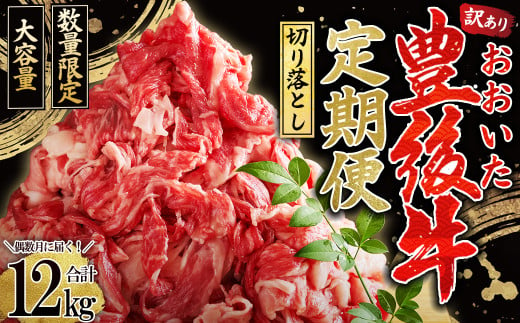 【定期便】偶数月に届く！おおいた豊後牛 切り落とし2kg(500g×4パック)×6回　D27