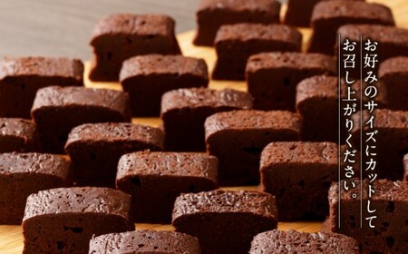 南阿蘇鉄道 トロッコショコラ 6本（約145g×6本）【2026年8月発送】菓子 お菓子 焼き菓子 チョコ風味 ショコラ ガトーショコラ 個包装 小分け