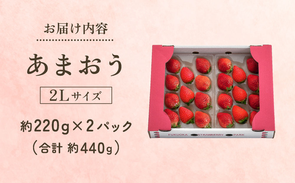 【2027年3月～4月発送】うるう農園のあまおう(2Lサイズ)約220g×2P(約440g)