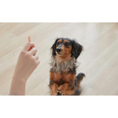 ふるさと納税 大河原町 まるごとささみジャーキー 細切り プレーン 100g P-IJ-HSE100 [53752602] |  | 03