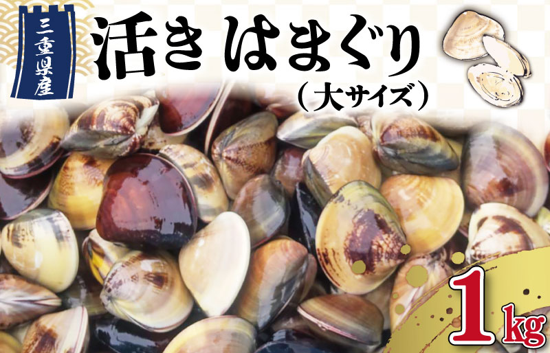 三重県産 活きはまぐり 大サイズ １kg 【しもい水産】はまぐり ハマグリ 天然はまぐり 活はまぐり 天然 砂抜き ふるさと納税 ふるさと 人気 網焼き 酒蒸し お吸い物 バーベキュー BBQ  sm3