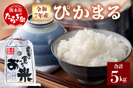 【 令和7年産 新米 先行予約 】 多良木町産 ぴかまる 5kg （ 令和7年10月下旬より順次発送 ）新米 農家が食べる お米 5キロ 甘み 米 美味しい米 米 白米 精米 熊本 065-0640