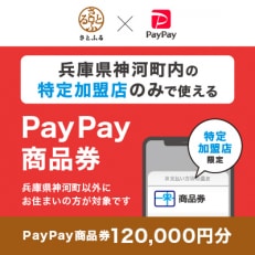 兵庫県神河町　PayPay商品券(120,000円分)※地域内の一部の加盟店のみで利用可