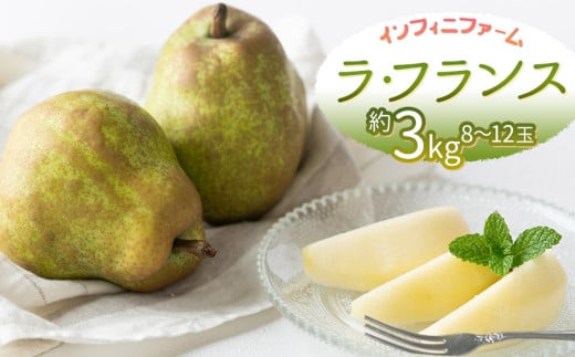 【令和8年産先行予約】鶴岡産　洋梨 ラ・フランス 約3kg（8～12玉）　インフィニファーム　K-828