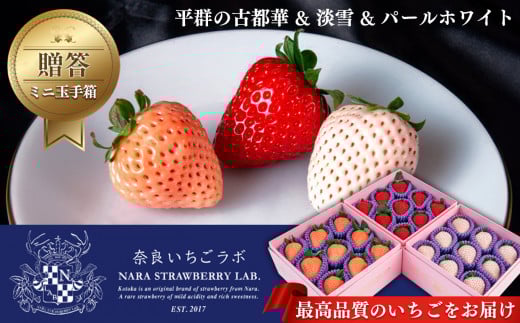 【贈答】平群の古都華 & 淡雪 & パールホワイト ピンクミニ 玉手箱 （ 3段 ） | フルーツ果物 くだもの いちご 苺 イチゴストロベリー 古都華旬 淡雪  パールホワイト  豪華 セット 奈良県 平群町