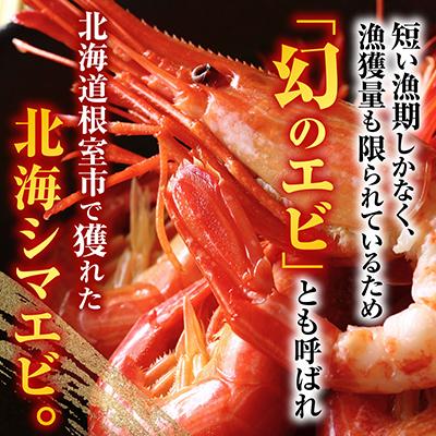ふるさと納税 根室市 【北海道根室産】北海しまえび700g A-42108 |  | 01