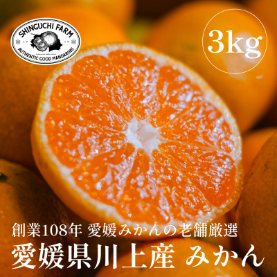 
            愛媛みかんの老舗厳選＜愛媛県川上産 みかん 3kg(約30玉)＞新口農園＜C70-59＞【1555030】
          
