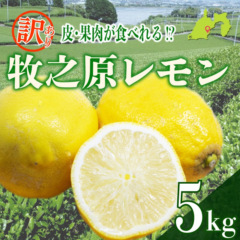 
                  【訳あり】レモン 5kg わけあり れもん 檸檬 Lemon 柑橘類 柑橘 フルーツ 果物 酸っぱい 果肉 酸味 璃の香 防腐剤不使用 牧之原レモン 静岡県 牧之原市 果肉食べられる 自宅用 贈答品 レモンスカッシュ レモンパウンドケーキ レモンサワー くだもの 家庭用 静岡県産 農家直送 産地直送 産直 グリーンレモン イエローレモン おすすめ 美味しい りのか
                