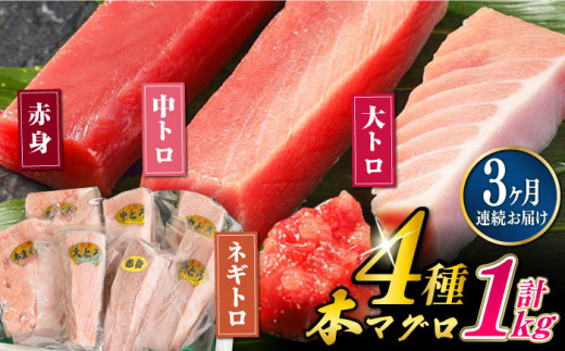 【全3回定期便】対馬産 本マグロ 4種 計1kg（赤身/中トロ/大トロ/ネギトロ）《対馬市》【対海】[WAH006] マグロ まぐろ 鮪 本鮪 本マグロ 養殖 トロ 中トロ 中とろ 大トロ 大とろ 赤身 ねぎとろ ネギトロ たたき 刺身 冷凍 海鮮 魚 柵 お祝い 贈答 定期便 毎月届く