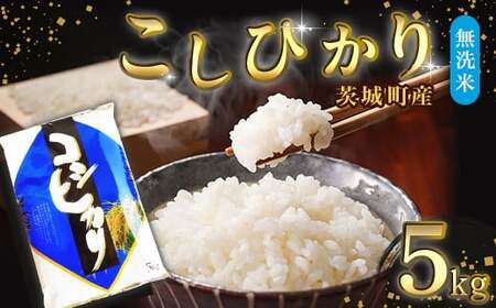 684 【令和7年産】茨城町産 無洗米 こしひかり 5kg【野口ライス】
