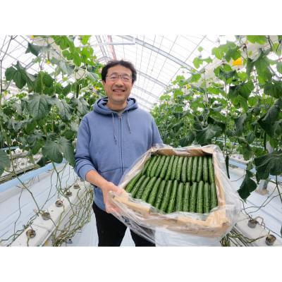 ふるさと納税 須賀川市 福島県須賀川市産【岩瀬キュウリ15kg】産地直送のパリパリ新鮮きゅうり |  | 03