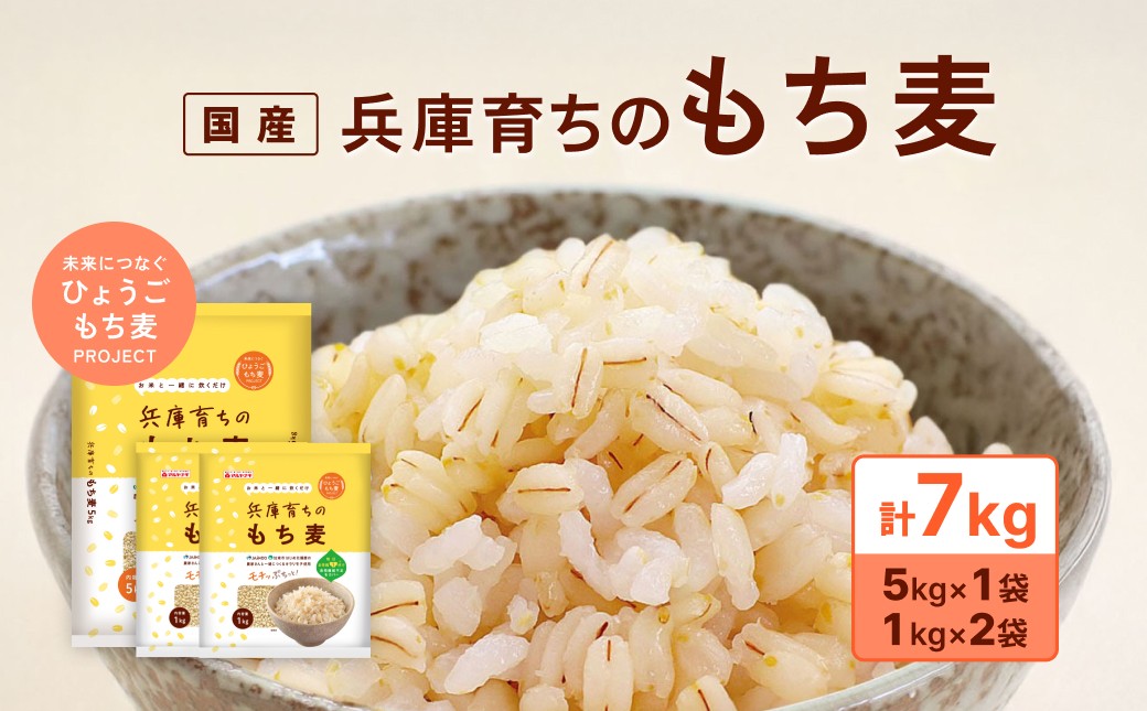 
            兵庫育ちの もち麦 7kg [国産 キラリモチ 食物繊維 ]
          