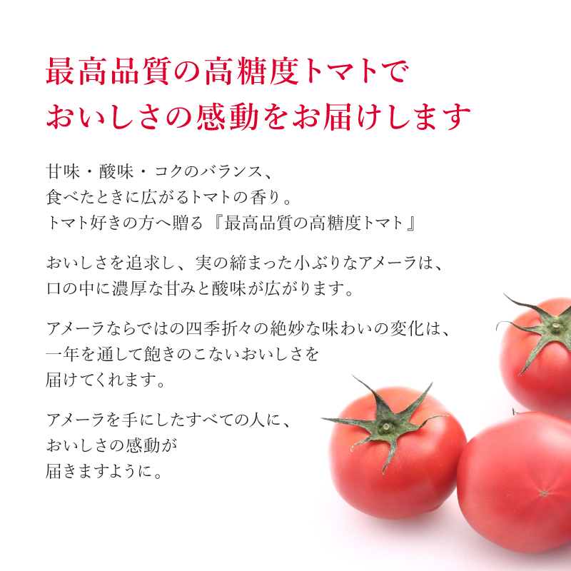 高糖度 ミニトマト アメーラルビンズ ゴールド トマト 5パック セット 糖度 10度 以上 化粧箱入り 産地 直送 新鮮 旬の 野菜 高級 フルーツトマト 甘い ジュース にも 静岡県 藤枝市 ふる