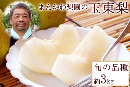 まえかわ梨園の玉東梨 熊本県玉東町産【2品種から旬の梨1種】約3kg（6-8玉前後）《 8月中旬-9月下旬頃出荷》 ｜ブランド梨 人気梨 特産品梨 熊本県梨 玉東町梨 大人気返礼品