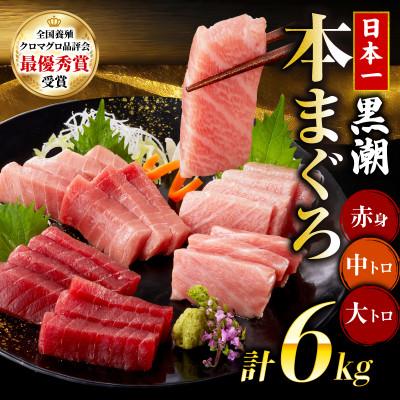 ふるさと納税 宿毛市 本マグロ3種セット (大トロ・中トロ・赤身) 約6kg