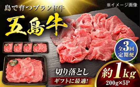 【3回定期便】五島牛 切り落とし 1kg（200g×5P）五島市/meat shop FUKU[PHF018]