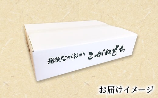 お届けイメージ