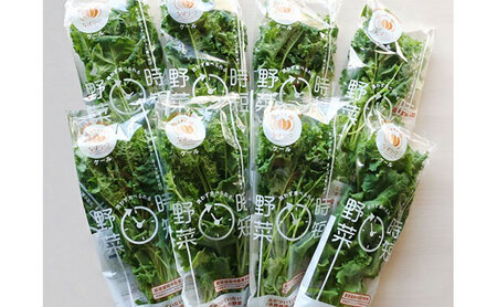 野菜セット ケール 水耕栽培 緑黄色野菜 野菜セット