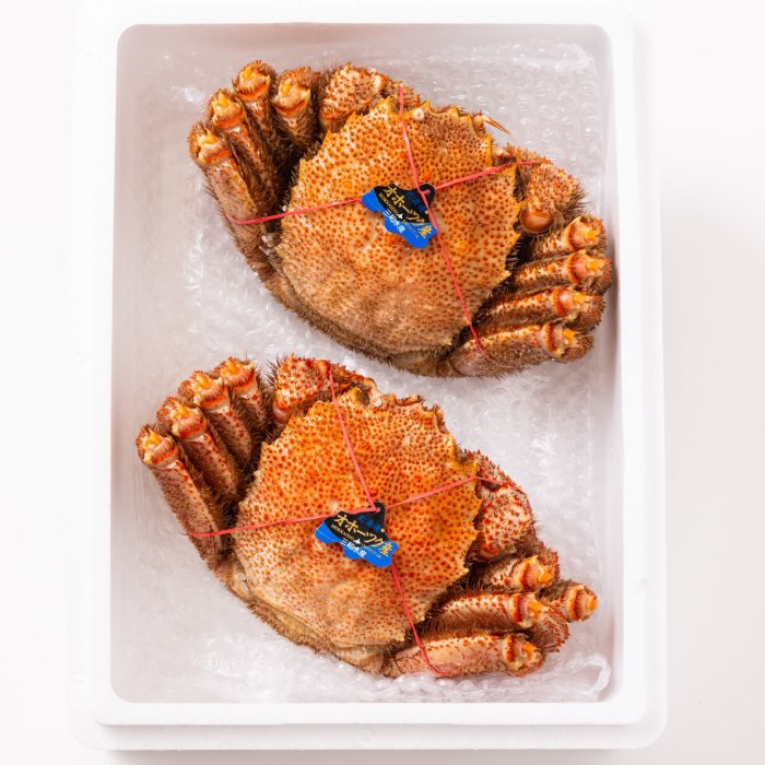 37-5 毛ガニ約570ｇ×2尾