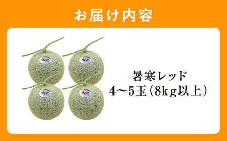 【令和6年産先行受付】北海道メロン 暑寒レッド 4～5玉 (8kg以上×1箱)《2024年10月より発送予定》