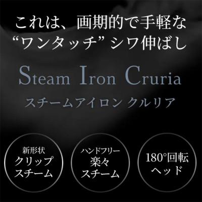 ふるさと納税 大河原町 衣類スチームアイロン 180度回転ヘッドSunruck SR-HT2002-GR[53753651] |  | 01