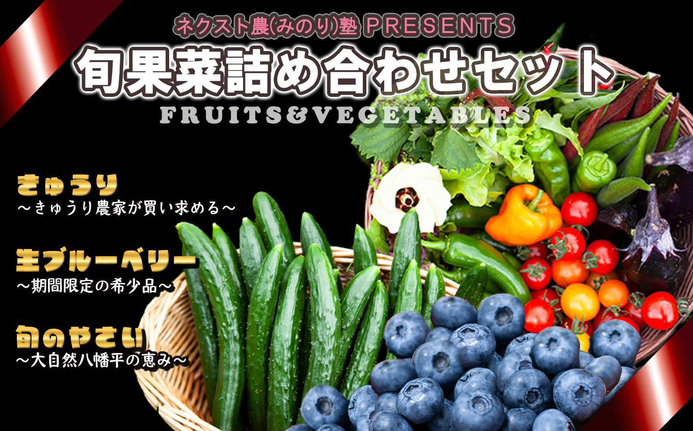 
            《先行予約》令和7年産 ネクスト農（みのり）塾 PRESENTS 旬果菜詰め合わせセット「きゅうり／生ブルーベリー／旬の野菜」【優作ファーム】●2025年7月中旬発送開始 野菜 旬 果物 くだもの フルーツ 食べ比べ セット 詰め合わせ 贅沢 特産 国産 鹿角産 秋田県 秋田 あきた 鹿角市 鹿角 かづの ギフト プレゼント
          