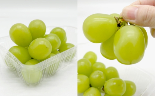 【 全6回定期便 】 岡山県産 フルーツ定期便 ＜ お一人様向け ＞ 白桃 ニューピオーネ シャインマスカット 晴王 果物 くだもの 果実 フルーツ 国産 ぶどう ブドウ 葡萄 もも 桃 モモ 梨 な