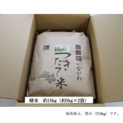 【令和6年産】新米・猪名川町のお米キヌヒカリ(精米)約18kg【1514241】
