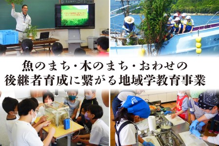  海の幸 定期便【全６回】 漁師町 尾鷲 からお届け！ 厳選 サーモン ブリ マグロ ネギトロ えび タコ ＜300セット限定＞ 小分け バラ凍結 ストック 便利 新鮮 鮮魚 さかな たっぷり 家庭用