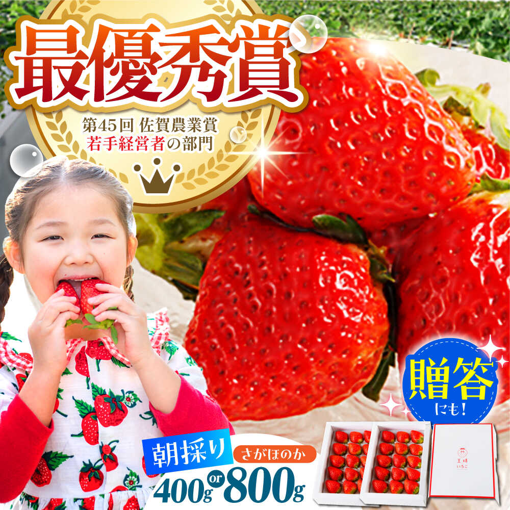 【ふるさと納税】【先行予約】【1〜2月発送】王様のいちご さがほのか ( 400g / 800g ) 【むらおか農園】 [HAF010] / 食品 フルーツ 果物 いちご 苺 佐賀 さがほのか ブランド 送料無料
