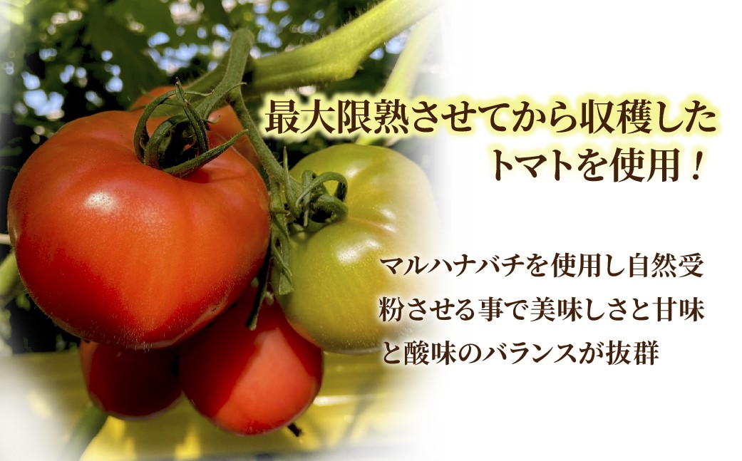 トマトピューレ トマト とまと 完熟 完熟トマト トマトジュース ピューレ 野菜 調味料 濃厚 トマトソース 煮込み料理