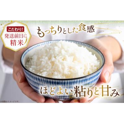 ふるさと納税 砂川市 米 令和7年産 ゆめぴりか 5kg×3ヶ月 定期便 計15kg 砂川産 特A [12260865] |  | 02