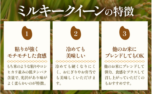 【令和8年産 新米】ミルキークイーン 5kg 無洗米 特別栽培米 低農薬 《食味値85点以上！こだわり無洗米》 / 福井県 あわら市 北陸 米 お米 人気 白米 精米 [aw032-a018]