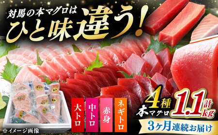 【全3回定期便】 対馬産 本マグロ 4種 計1.1kg（赤身/中トロ/大トロ/ネギトロ）[WAH037] マグロ まぐろ トロ